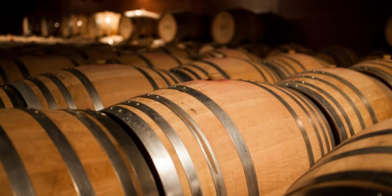 Cave a vin bruyante