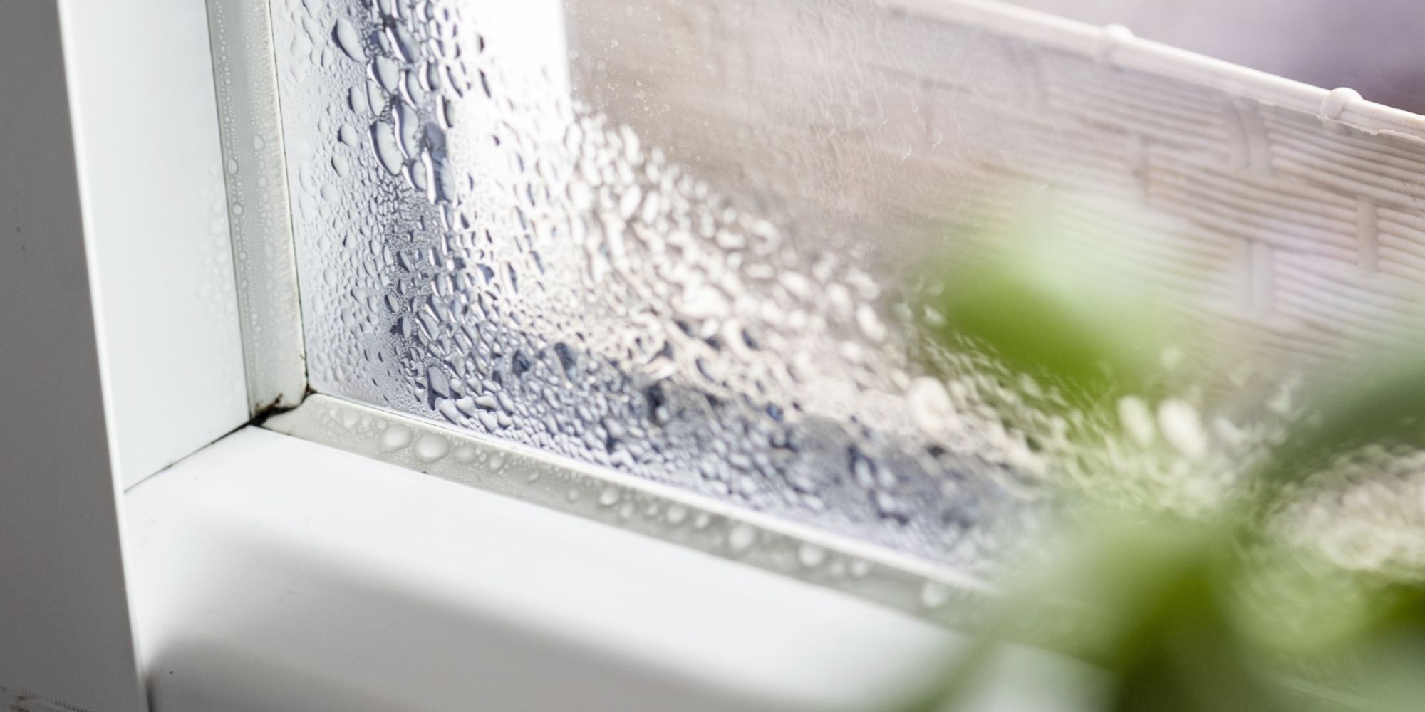 fenêtre non calfeutrée du froid et qui condense