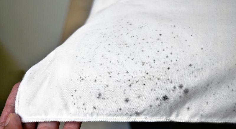 linge blanc pique de taches noires de moisissure