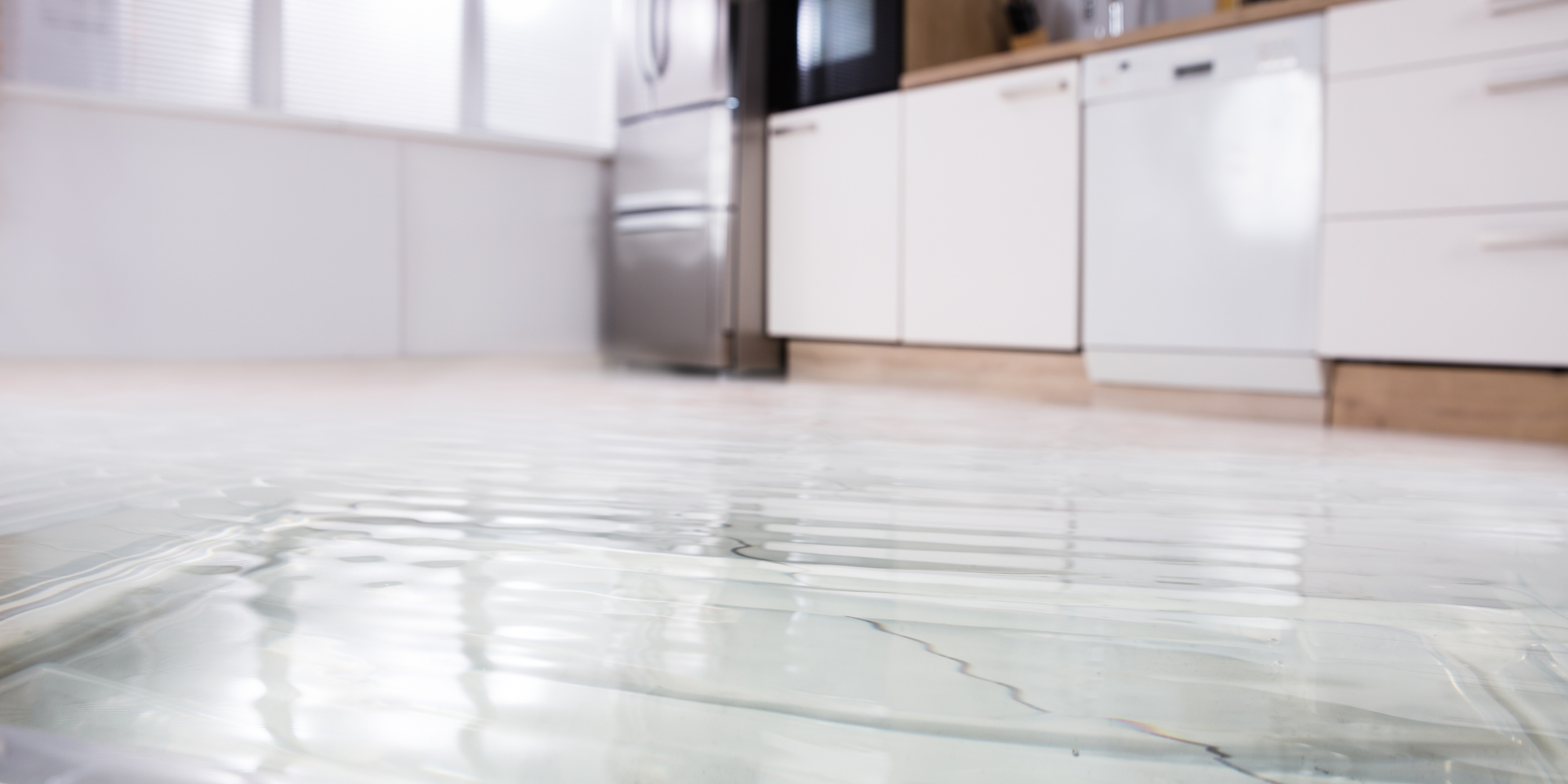 dégâts des eaux dans une maison