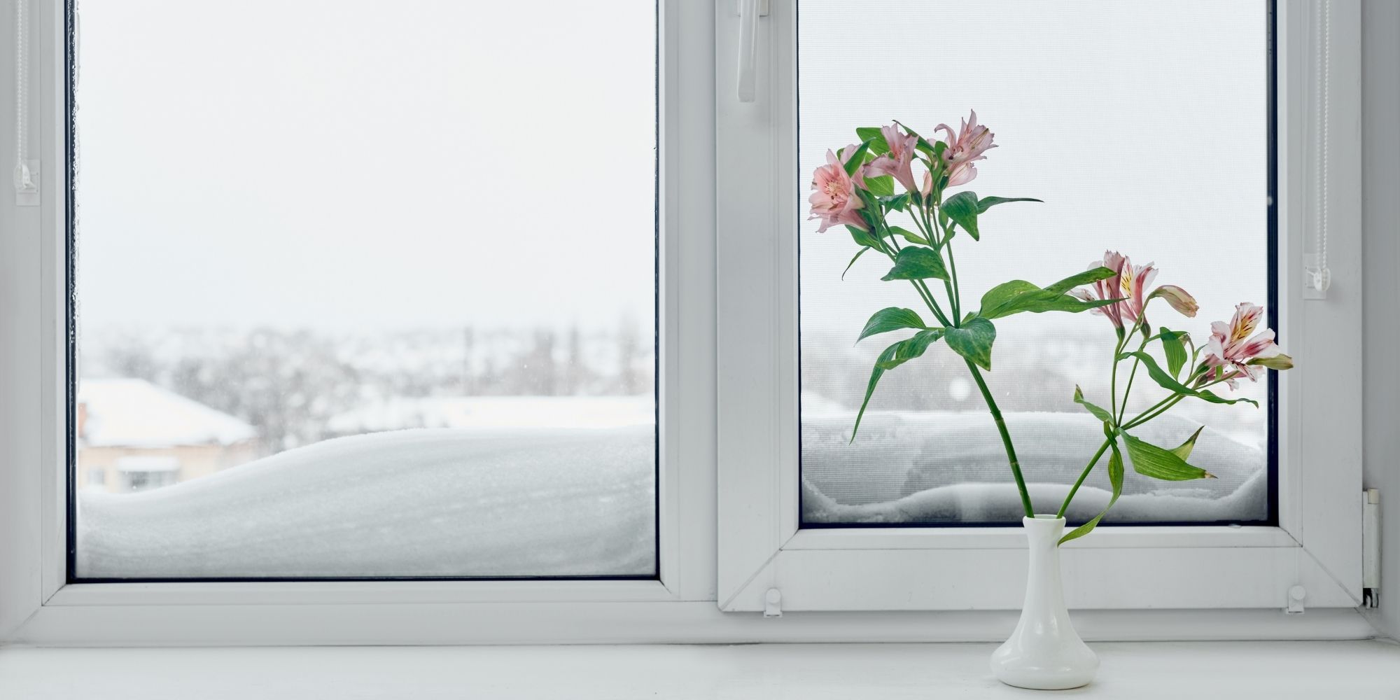 fenêtre avec de la neige