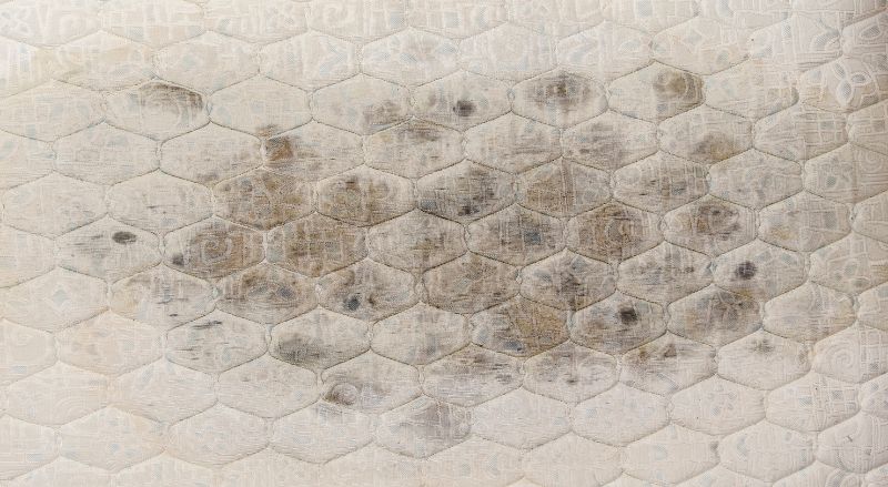 moisissure sur le matelas