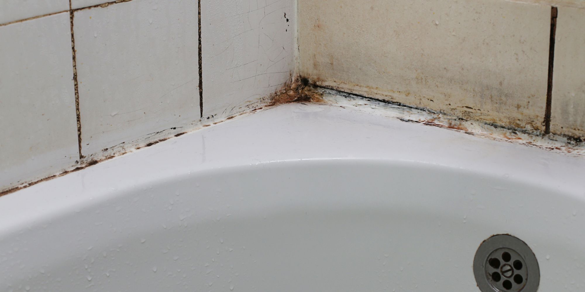 moisissures dans une salle de bain