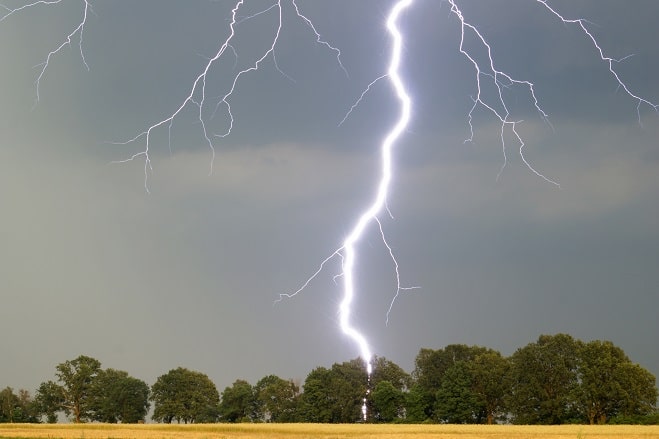 Arbre touché par la foudre