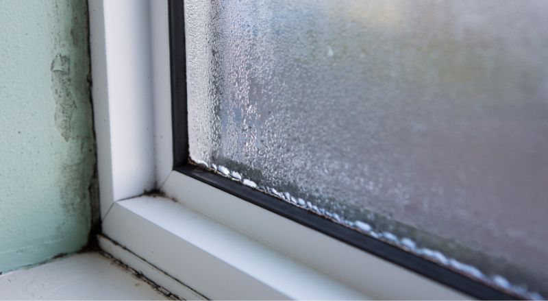 gouttes dhumidite sur une vitre encadrement de fenetre endommage par les moisissures et murs noircis
