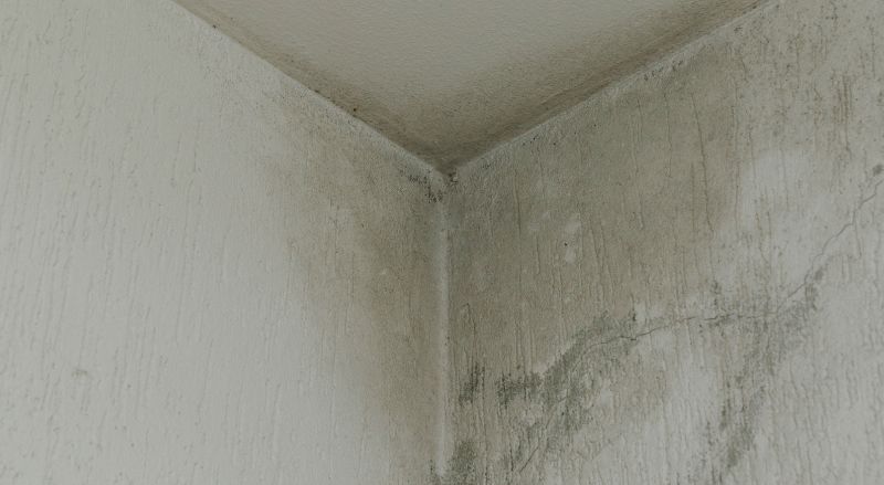 infiltration et humidite angle plafond mur