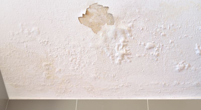 tache d humidite blanche au plafond il s agit de salpetre
