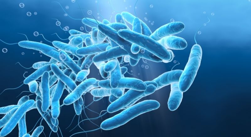 bactérie légionelle dans l'eau