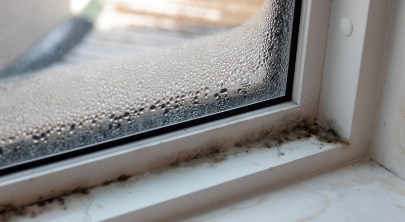 moisissures sur une fenêtre à cause de la condensation