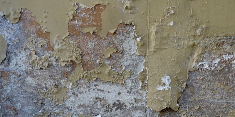 un exemple de remontées capillaires sur un mur intérieur