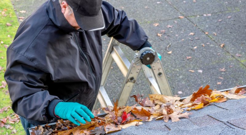 nettoyage des feuilles mortes dans une gouttière