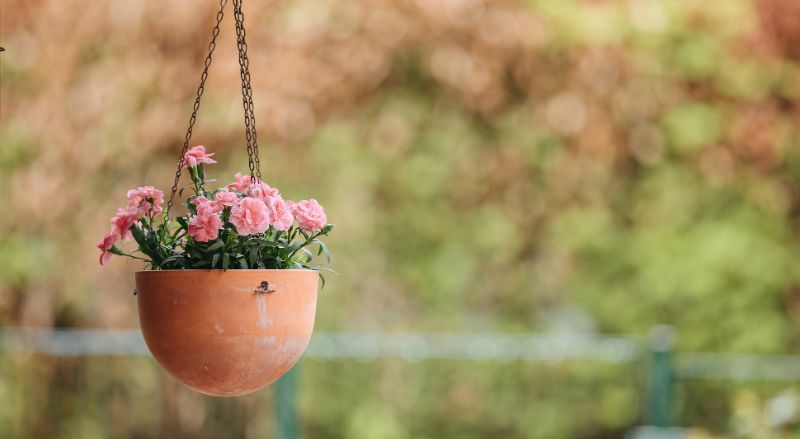 pot en terre cuite avec oeillets roses suspendu dans les airs avec de petites chaines