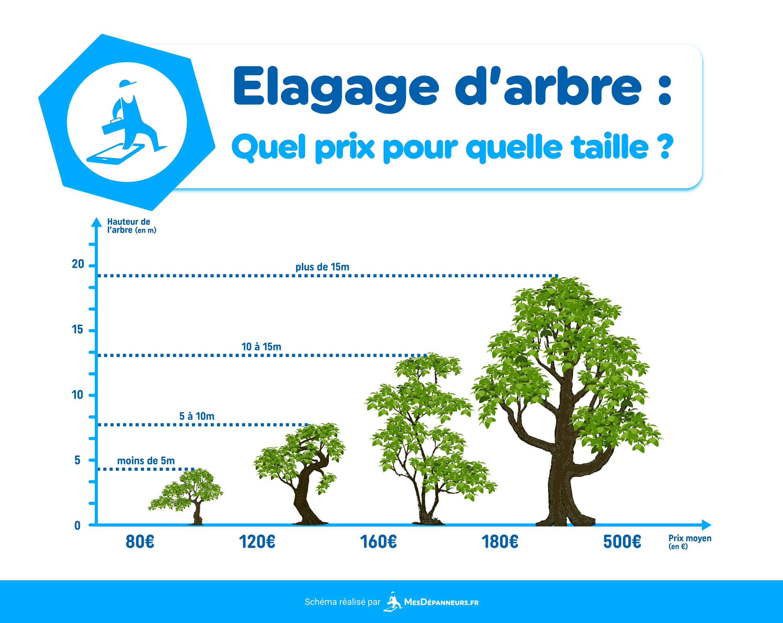 elagage arbre prix taille guide complet schema mesdespanneurs mesdespanneurs.fr
