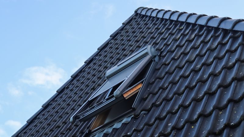 fenetre de toit ouverte dans le style velux avec tuiles noires